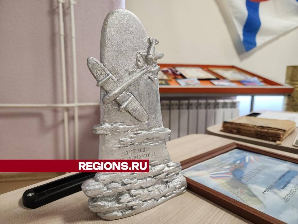 Родственники героев Великой Отечественной войны получат памятные знаки «Летчик-талалихинец»