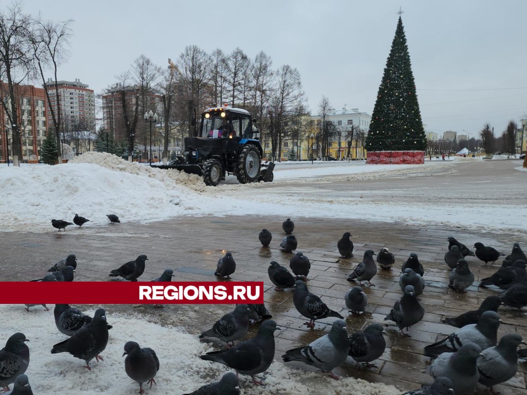 Ступинские коммунальщики подготовили центральную площадь к зажжению огней на главной елке