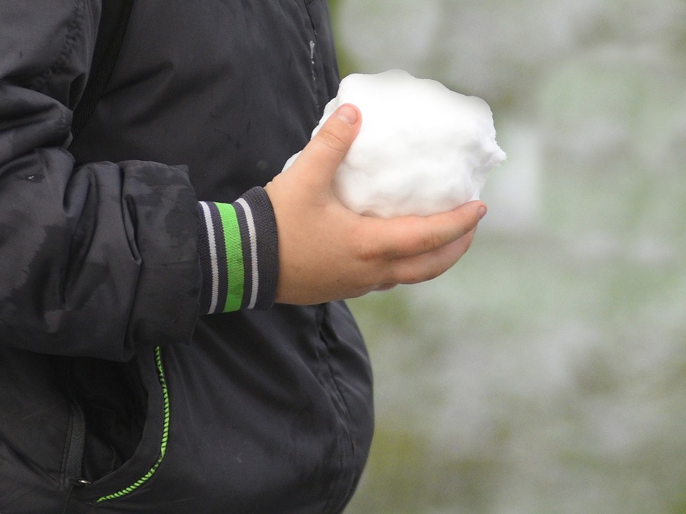 Дети обкидали снежками и разбили окно жителям Нелидова
