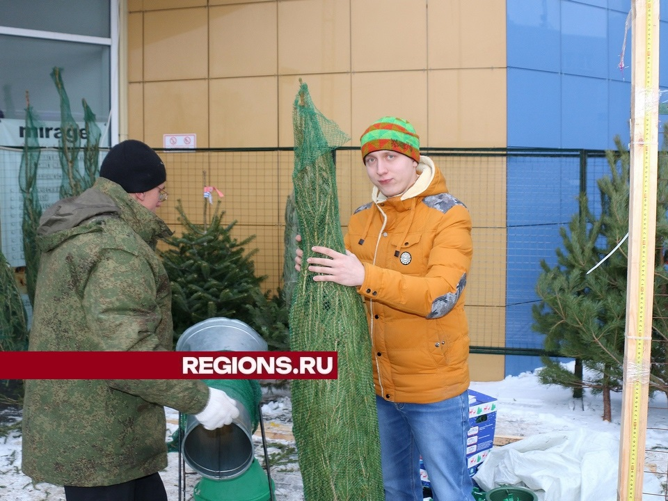 Где жителям Луховиц купить живую елку для Нового года