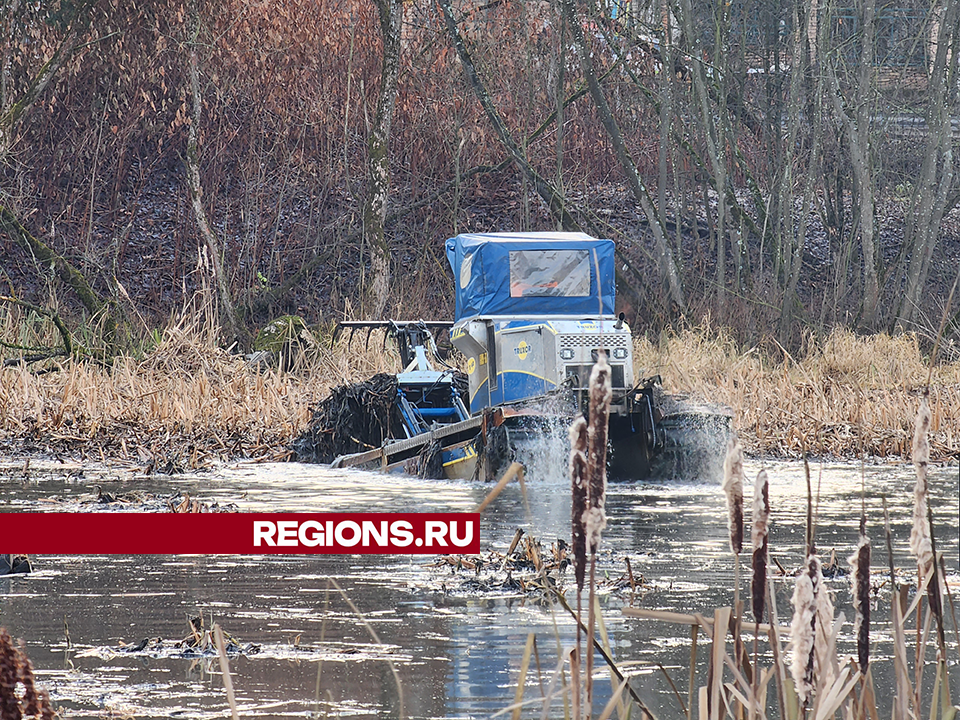 Русловый пруд на реке Серебрянке избавят от загрязнений в следующем году