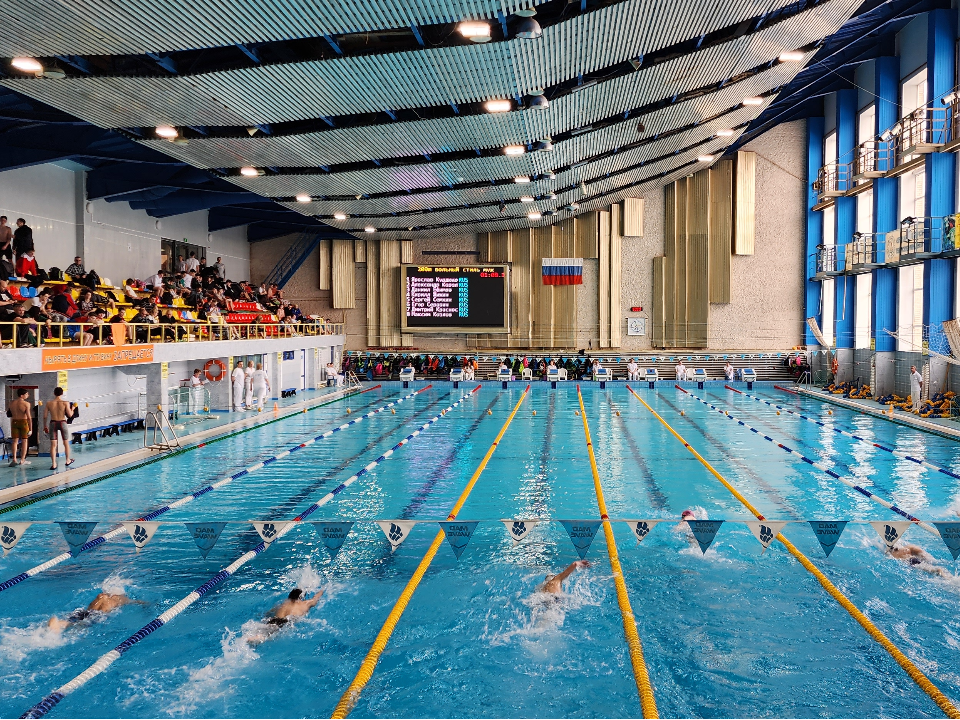 Спортсменки из Домодедова завоевали золото «Кубка Чемпионов Спринт»