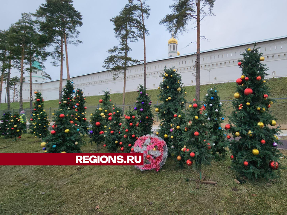 Около Новоиерусалимского монастыря поставили новогодние елки