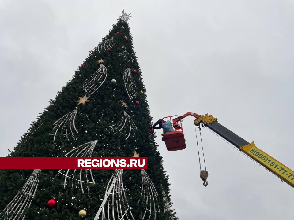 На главной площади Дмитрова установили самую большую новогоднюю елку округа