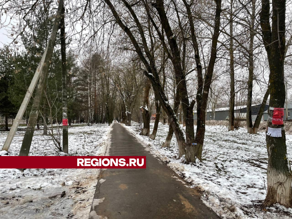 В селе Куликово заасфальтировали самую протяженную народную тропу в округе