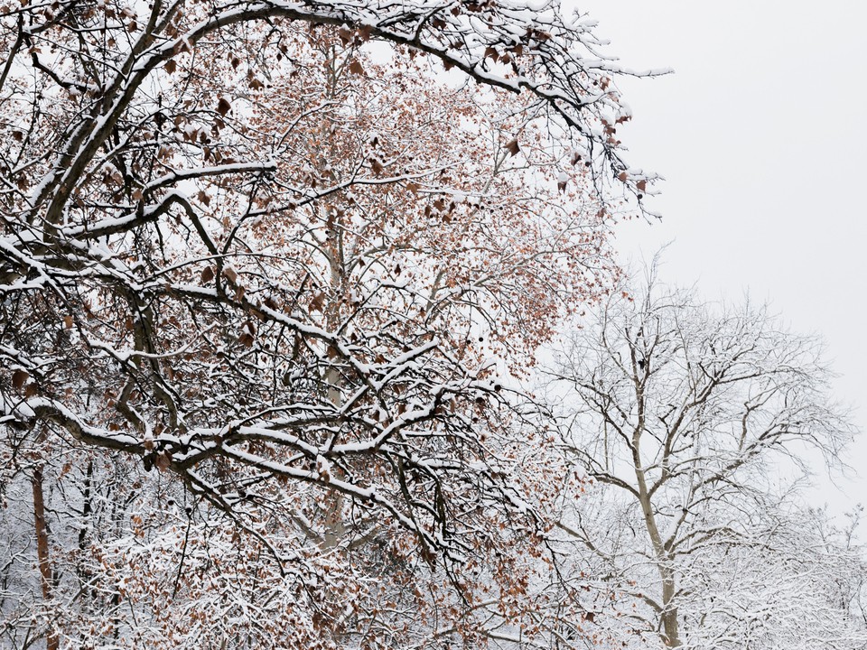 С нуля до восьми градусов холода опустится температура в округе Луховицы за сутки