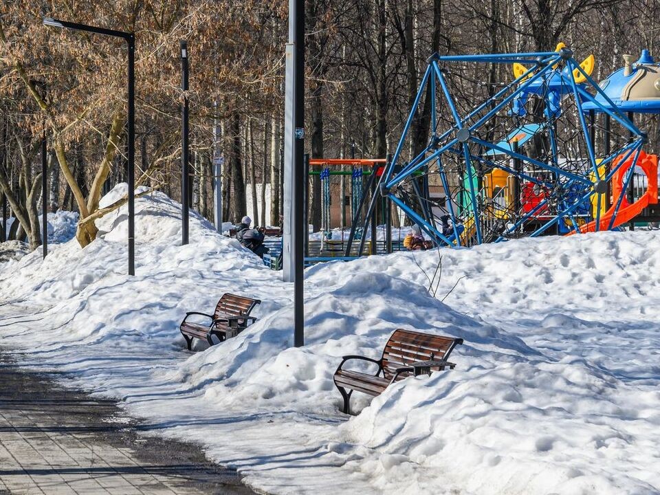 Подмосковье получит новые земли для благоустройства парков и зон отдыха