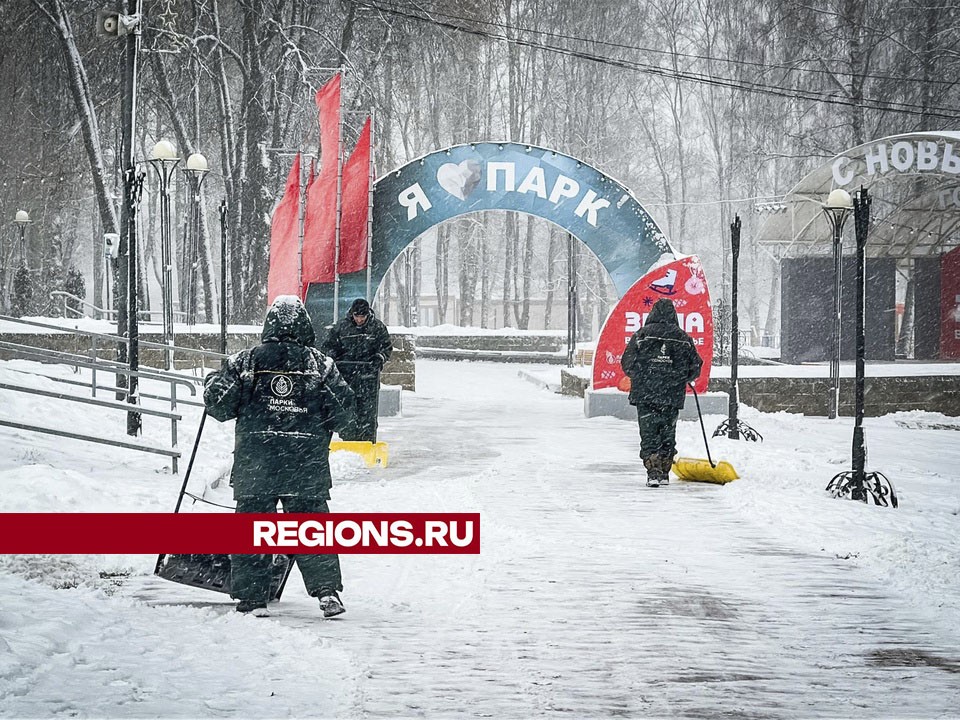 Пешеходные дорожки в Сестрорецком парке ежедневно чистят от снега
