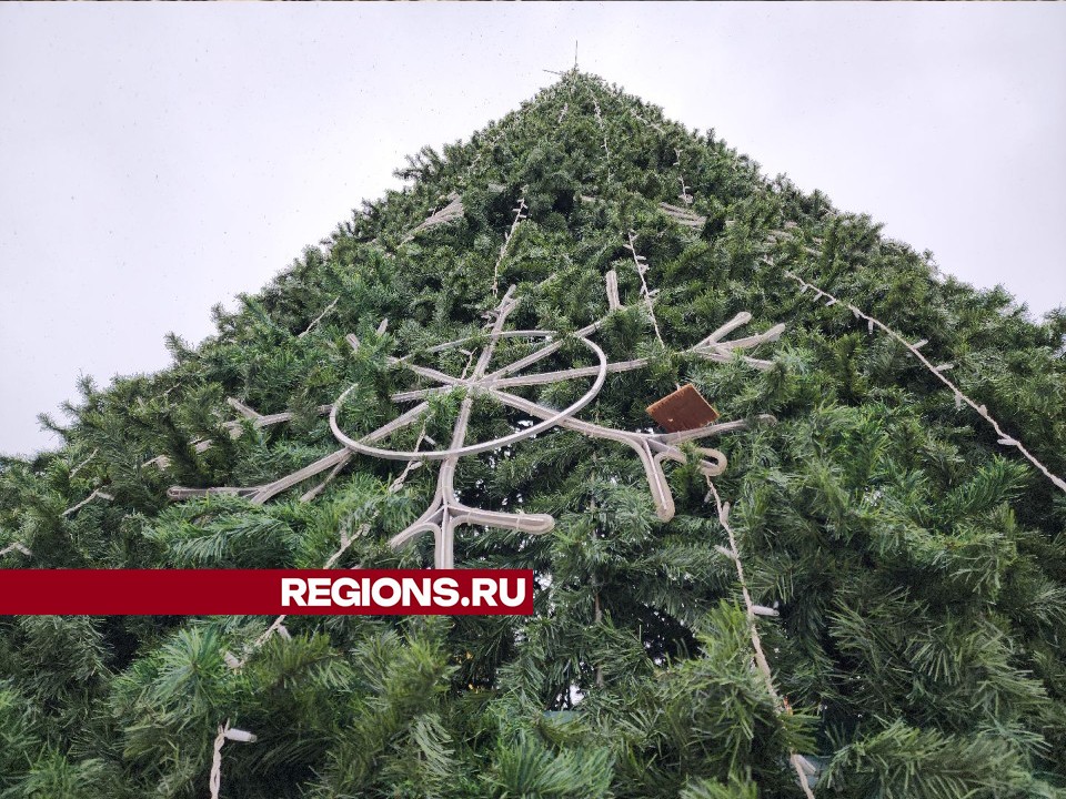 На бульваре Юности в Подольске на елку вешают снежинки