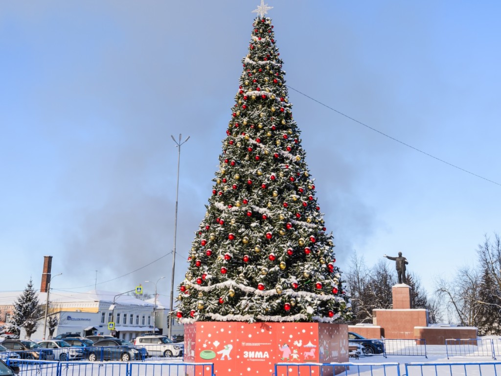 Российские регионы поборются за награду за лучшую новогоднюю елку