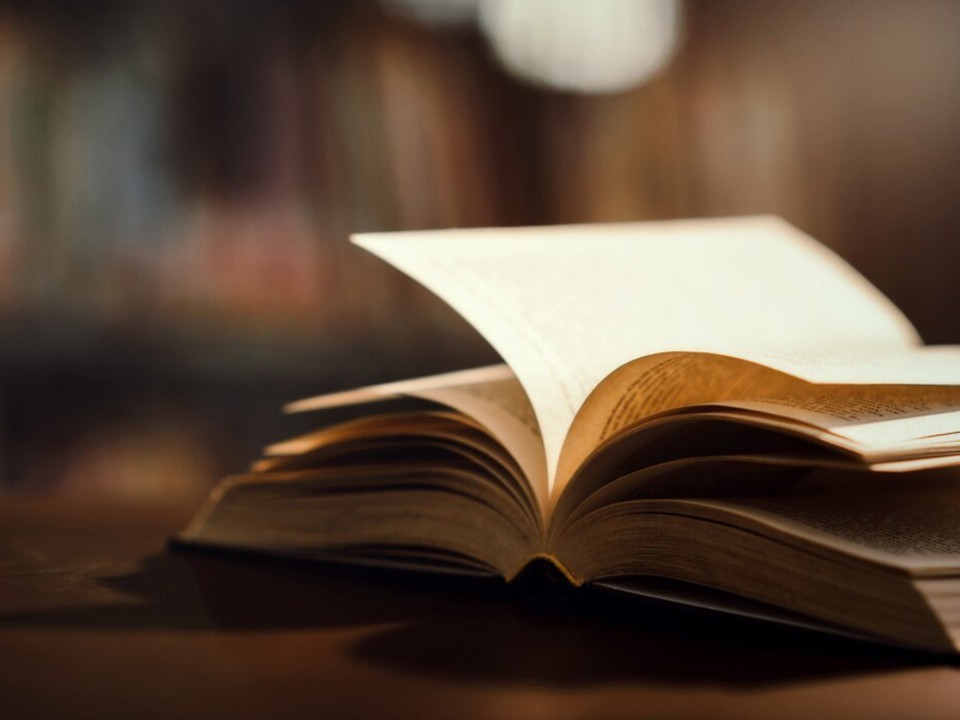 В какие дни января будет открыта модельная библиотека Пущина