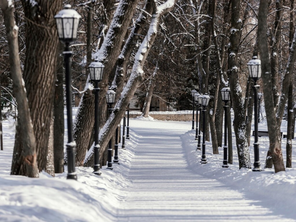 Синоптик Вильфанд раскрыл, когда Подмосковье заметет снегом