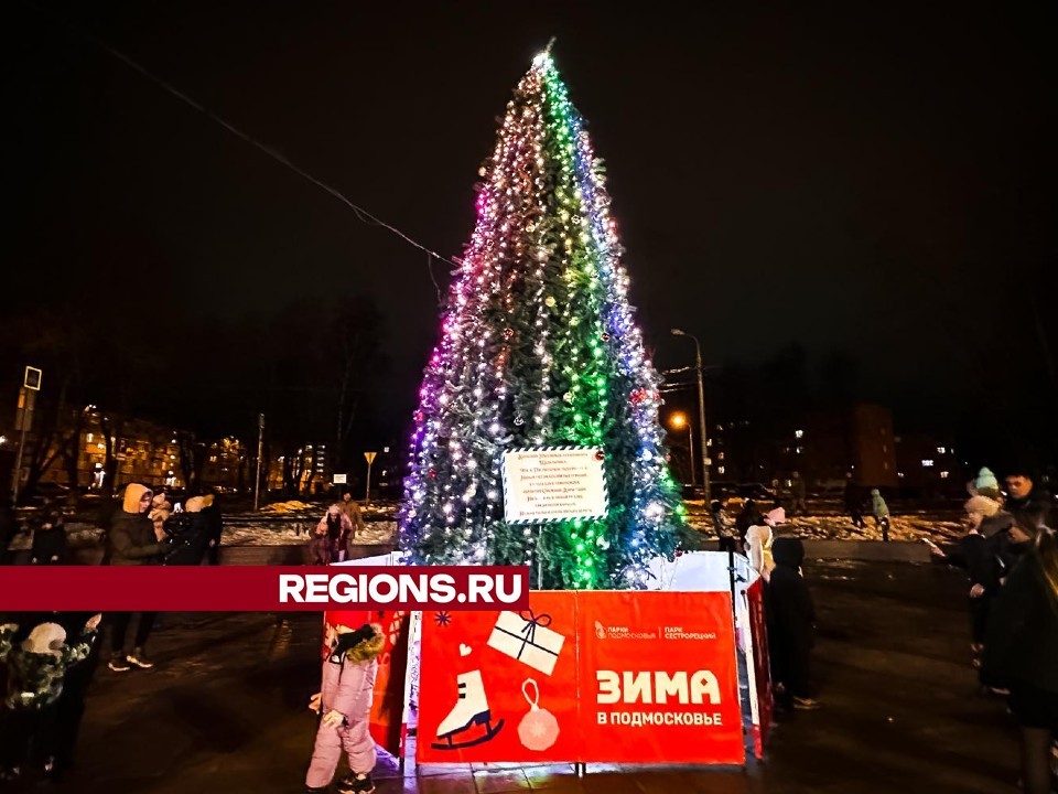 Новогоднюю елку установили в Сестрорецком парке