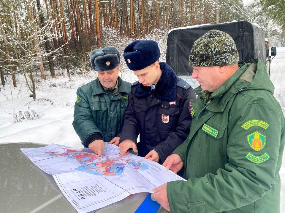 В лесах Орехово-Зуева будут бороться с желающими срубить елочку