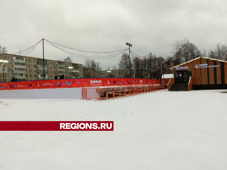 Сеанс на главном катке Егорьевска можно забронировать онлайн