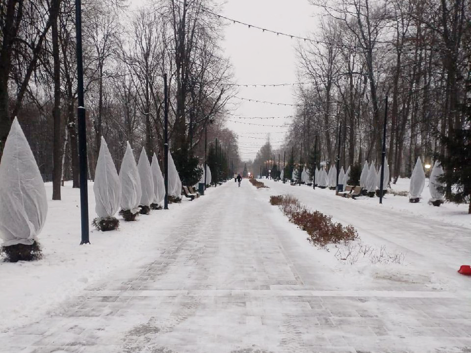 Зачем и во что «одели» деревья в парке Николая Островского