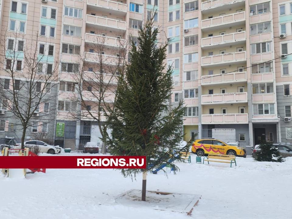 Управляющая компания установила живую елку во дворе Подольских просторов