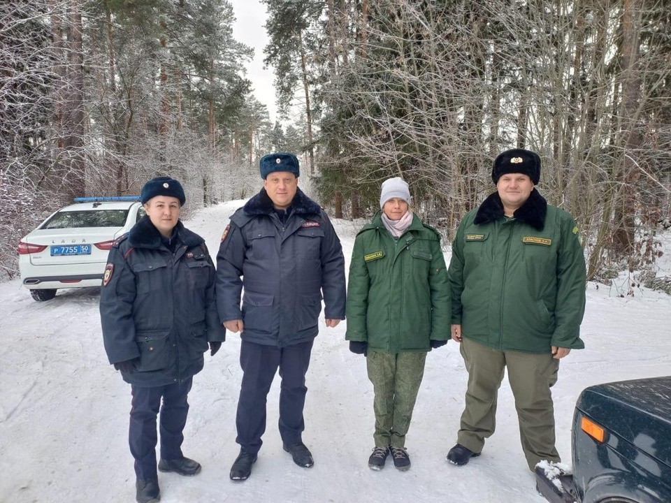 Уголовные дела будут заводить за незаконную рубку елей в лесах Балашихи