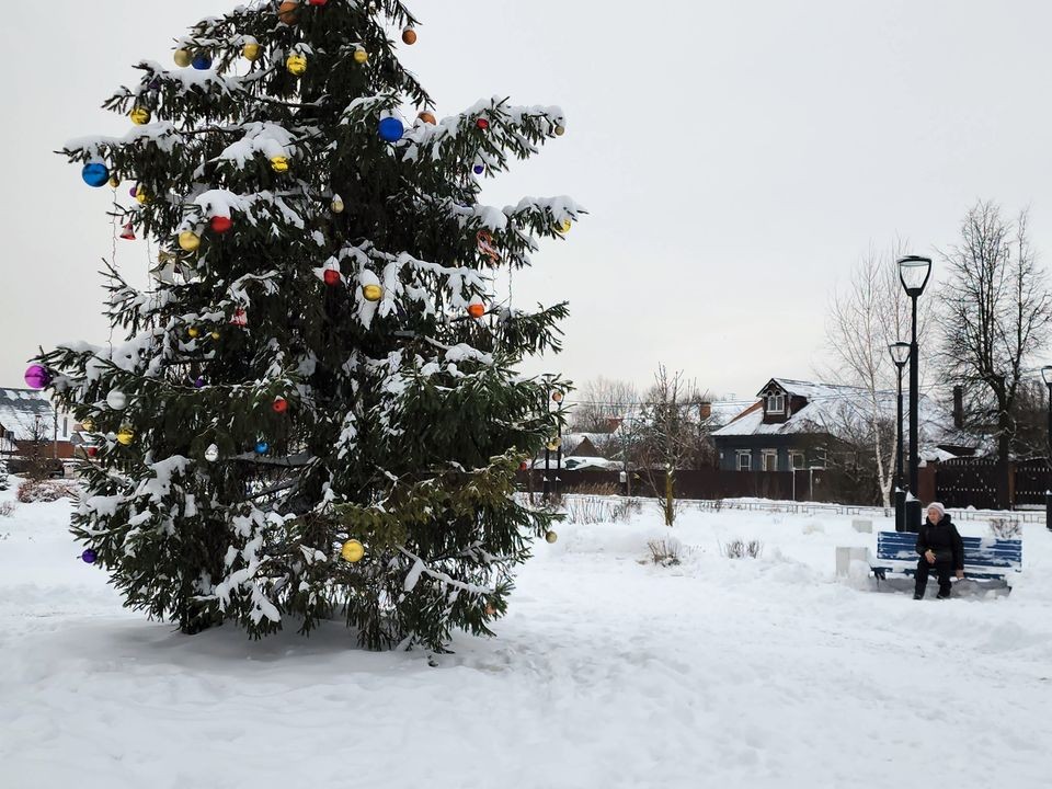 Температура в Подмосковье на выходных опустится до самых низких отметок с начала зимы