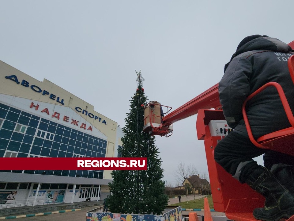 Восьмиметровую ель украсили к новогодним праздникам в Большевике