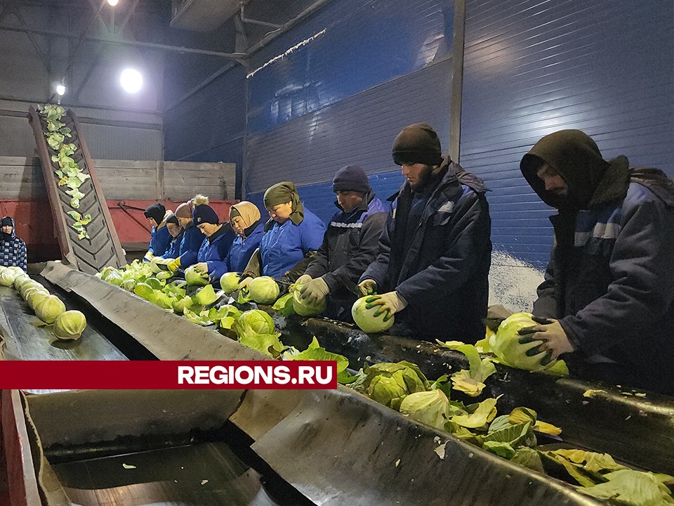 Медаль за поддержку бойцов СВО получил руководитель сельхозпредприятия Серпухова