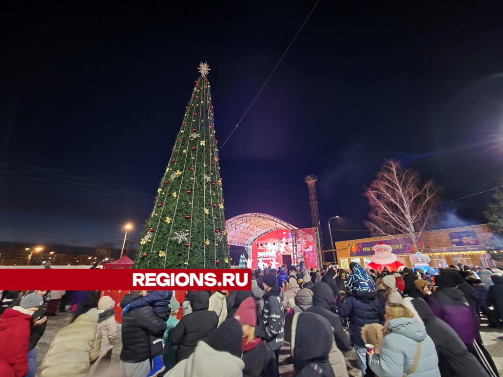 Главную городскую елку зажгли в Шатуре