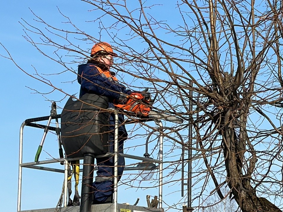 На улице Лермонтова убрали сухостой