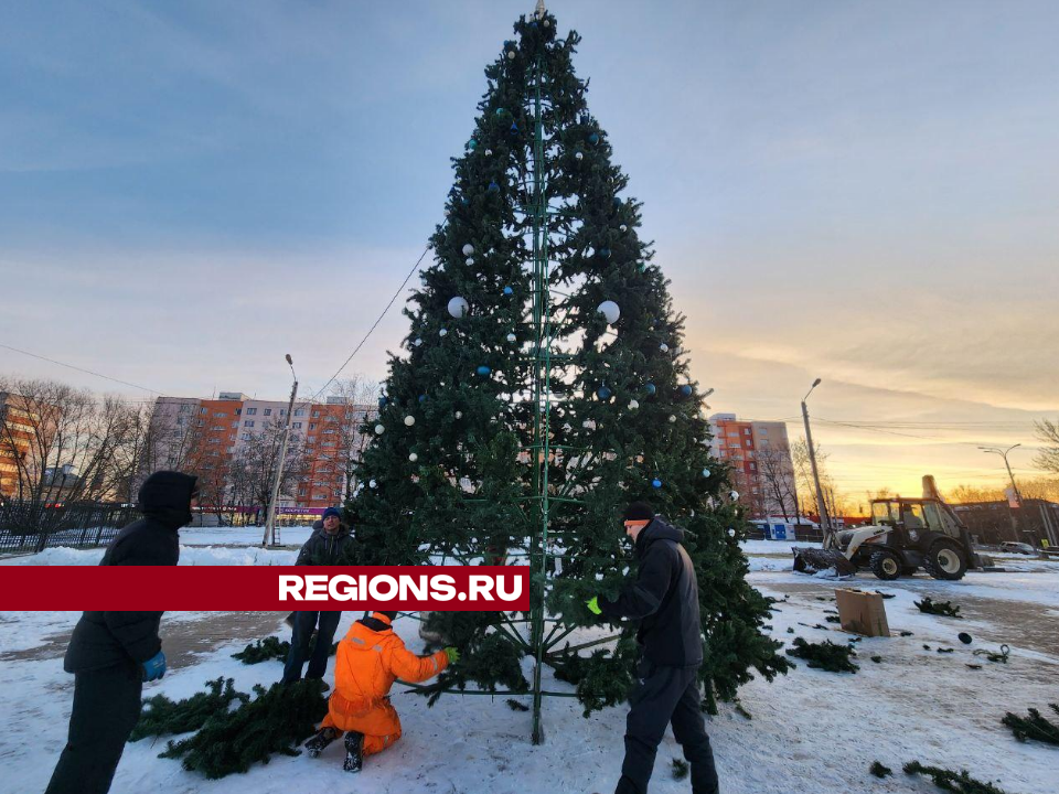 Новогоднюю елку установили на Губернаторской площади в Можайске