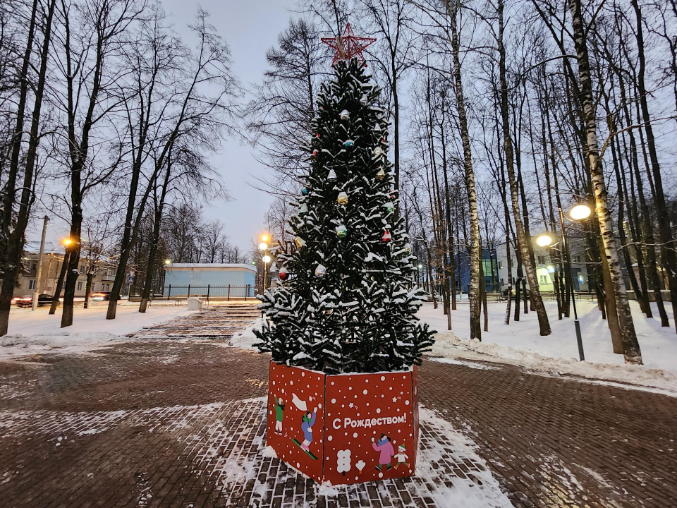 Новогоднюю елку установили в чеховском Сквере Ветеранов