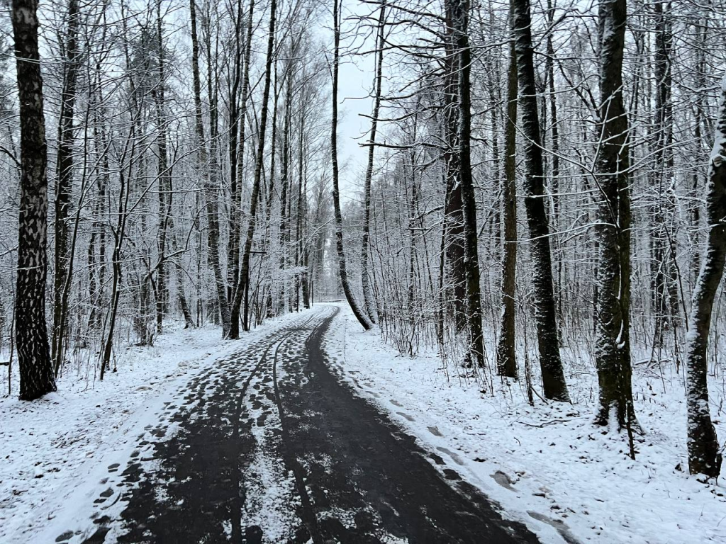 В Люберцах тепло продержится до Нового года