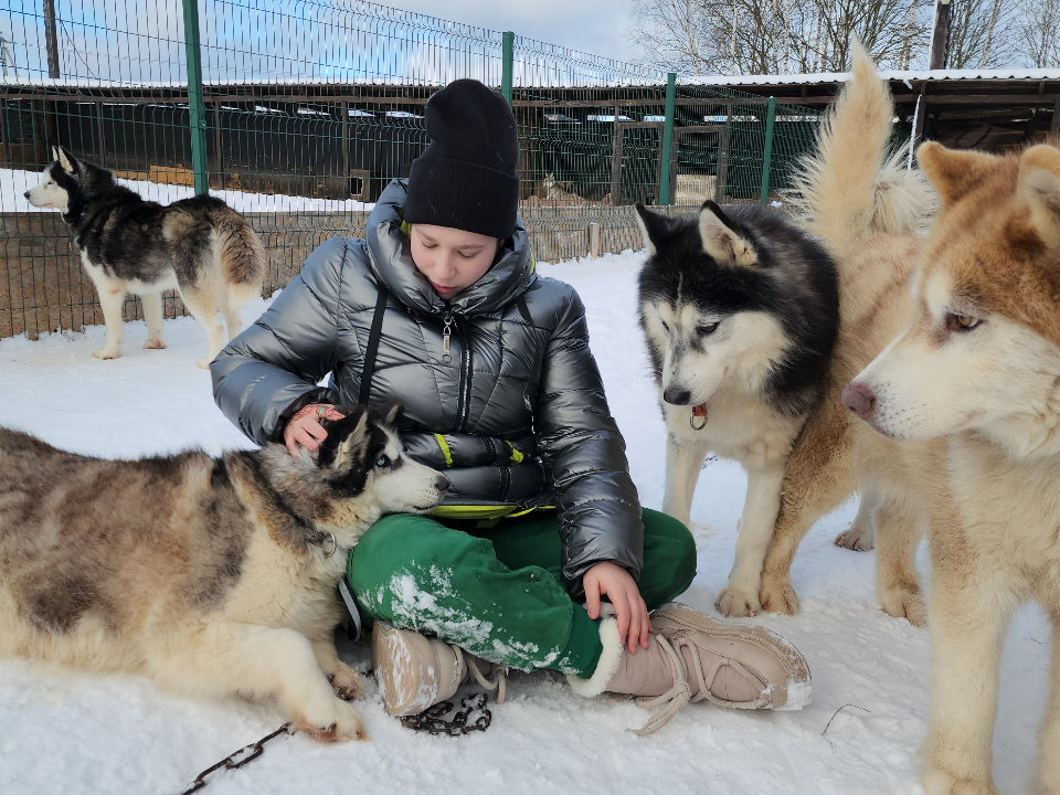 Хаски деревня и парк снегоходов: куда пойти с ребенком на новогодних выходных в Рузе