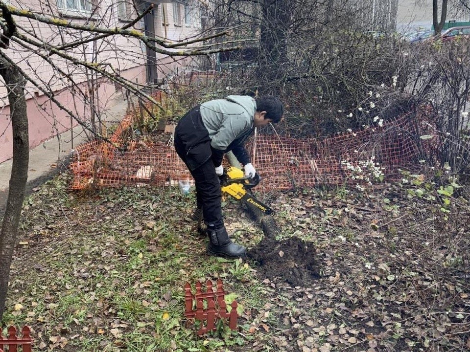 Коммунальщики убрали упавшее дерево у жилого дома в квартале Маяковского