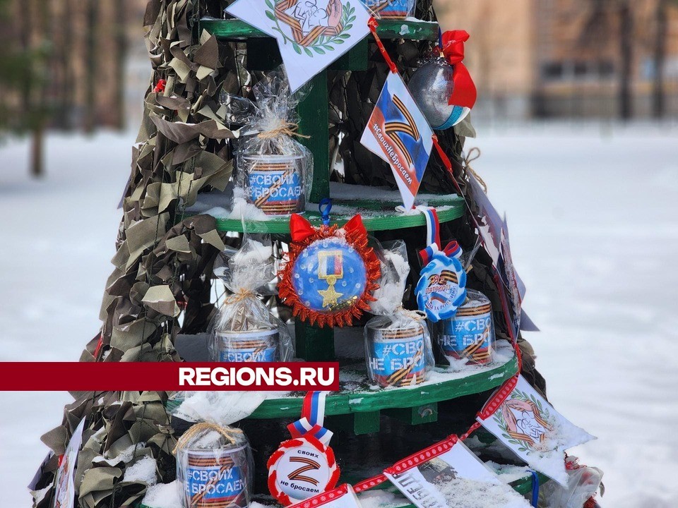 Сделанная руками жителей елка в поддержку бойцов СВО появилась в воскресенском парке