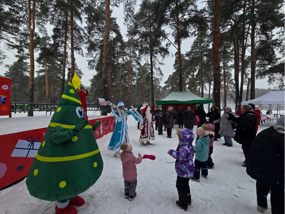 Кузьминский лесопарк зовет на зимние приключения