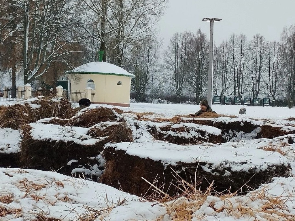 В Бородинском музее-заповеднике появился лабиринт из сена