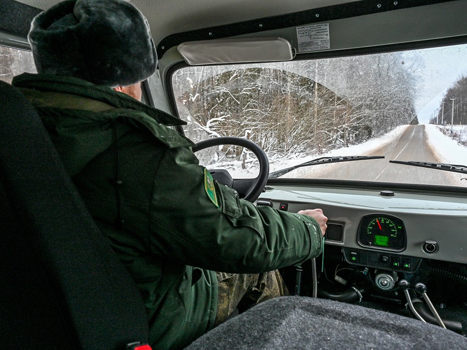 В лесах Большого Серпухова будут штрафовать за незаконный сруб елок