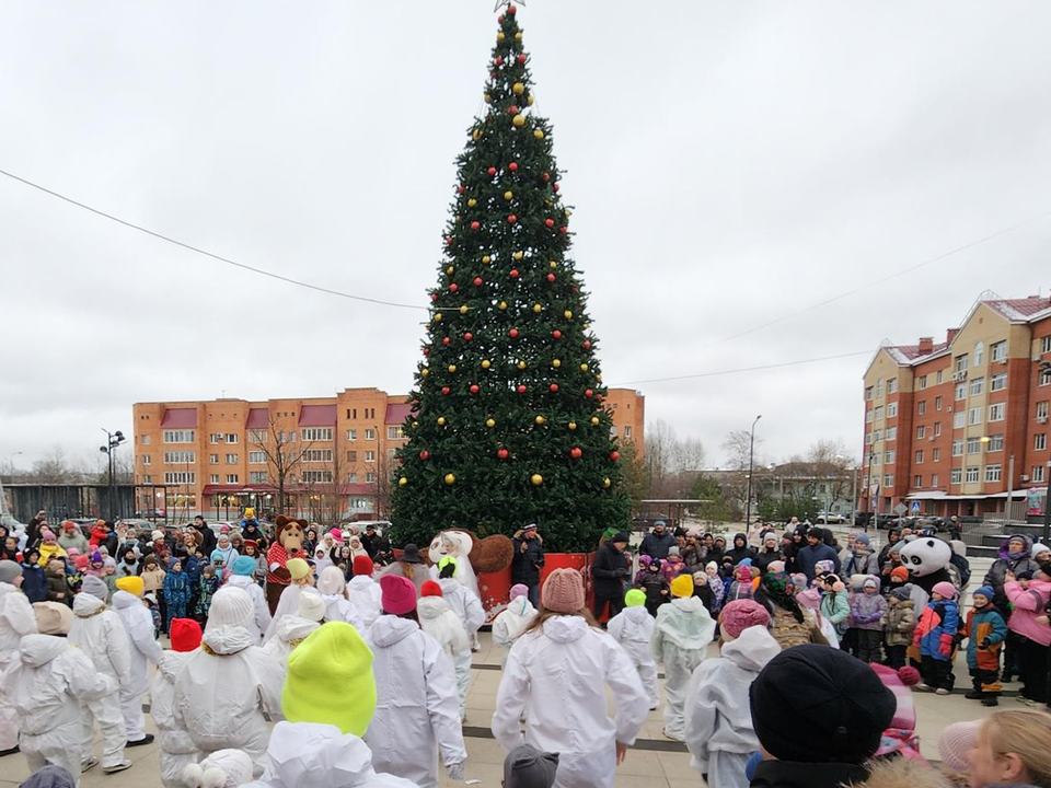 Огни зажгли на главной новогодней елке Фрязина