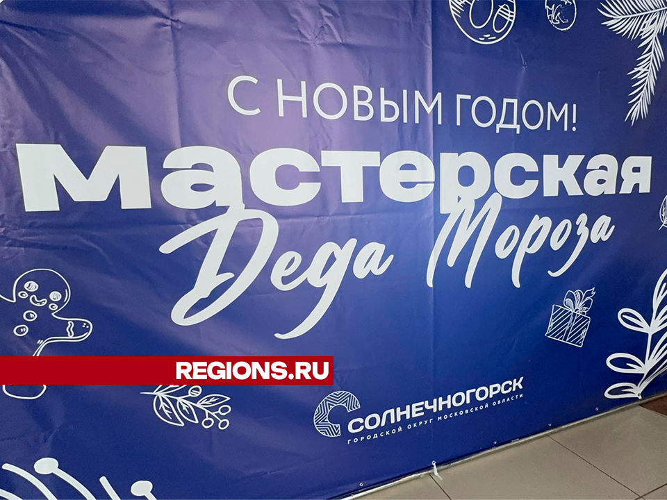 Фото с хаски и мастерская Деда Мороза: какие мероприятия Солнечногорска пройдут в выходные