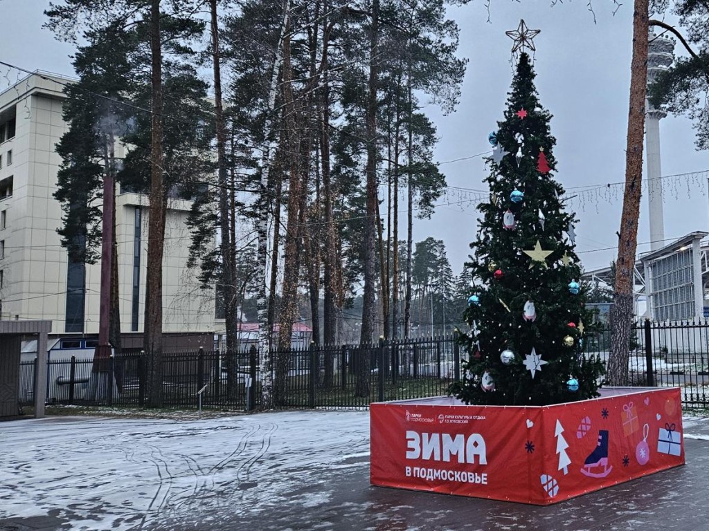 В Жуковском парке установили новогоднюю ель и развешивают гирлянды