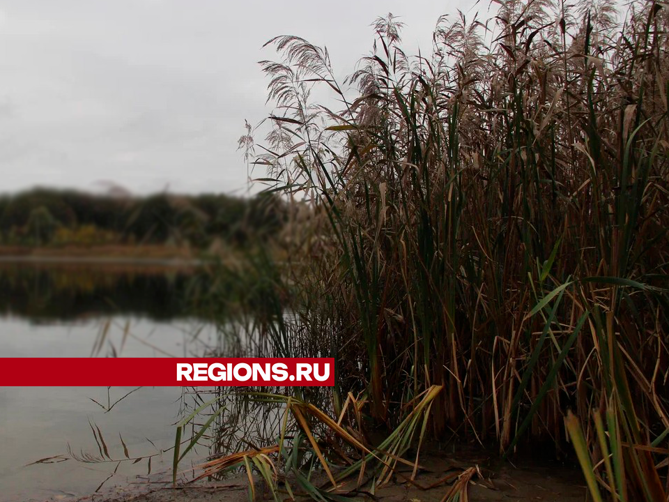 Озеро Комсомольское очистят в следующем году