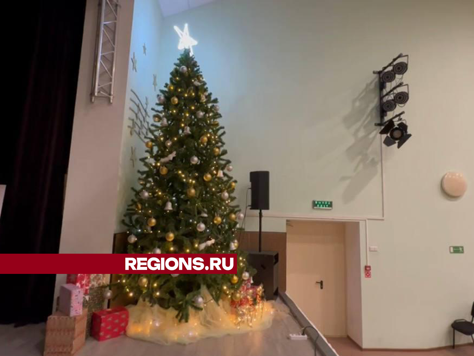 В Доме культуры Восхода появилась елка с оленями и подарками