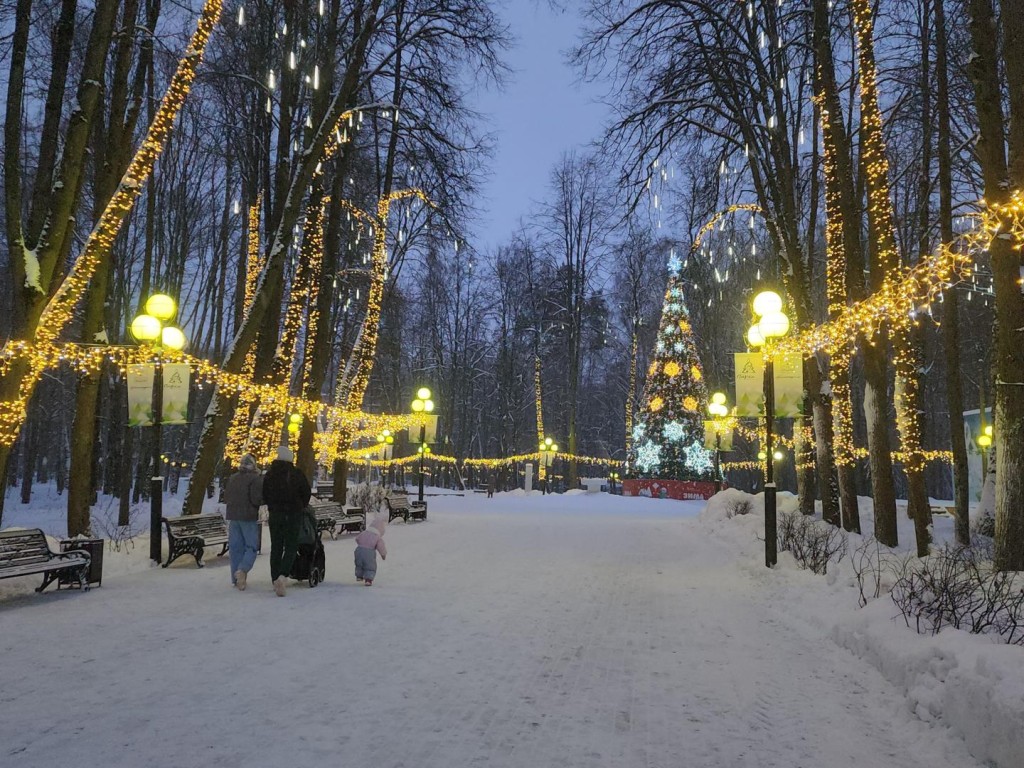 Городской парк Красногорска украсили двумя километрами световых гирлянд