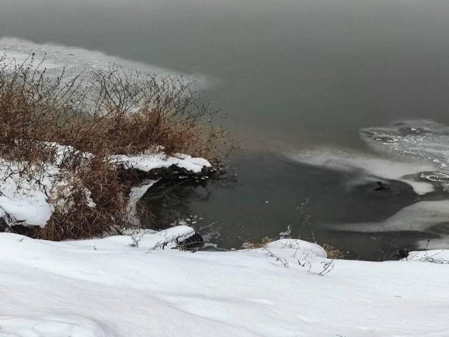 В Богородском округе по обращениям жителей проверили системы водоотведения