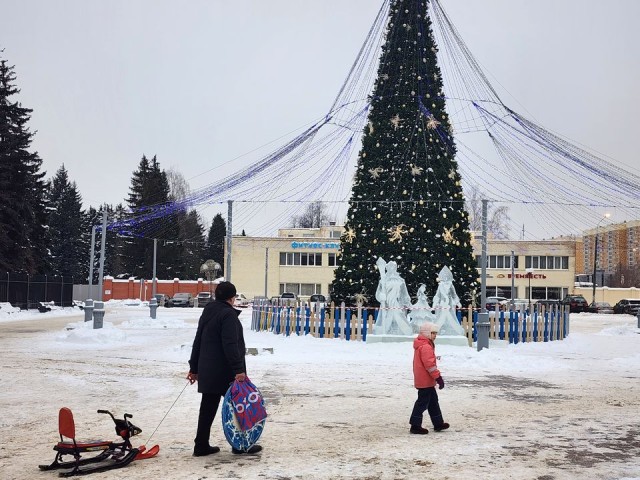 В Долгопрудном улицы и тротуары обработали от гололеда