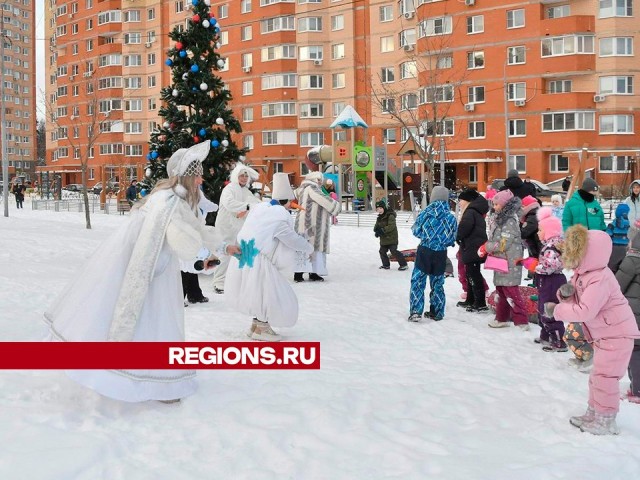 Огни на елках зажгли жители Власихи во дворах