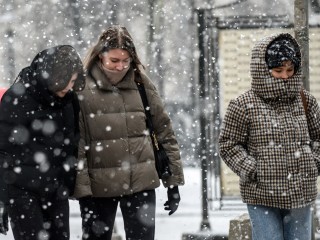 Снежно и холодно: какой день в Московском регионе станет самым холодным на этой неделе