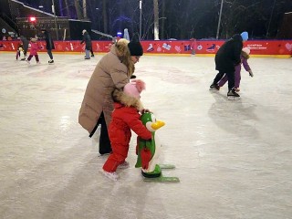 Коньки и пингвина-помощника для детей можно взять напрокат в парке «Раздолье»