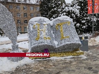 Парк Толстого украсили сверкающими инсталляциями к Новому году