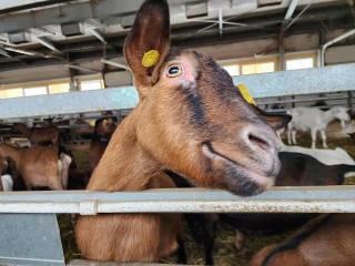 Претендентка из Луховиц победила на всероссийском конкурсе красоты