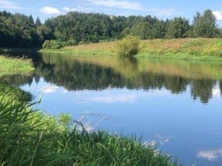 Земли заповедника в Звенигороде остались в собственности государства